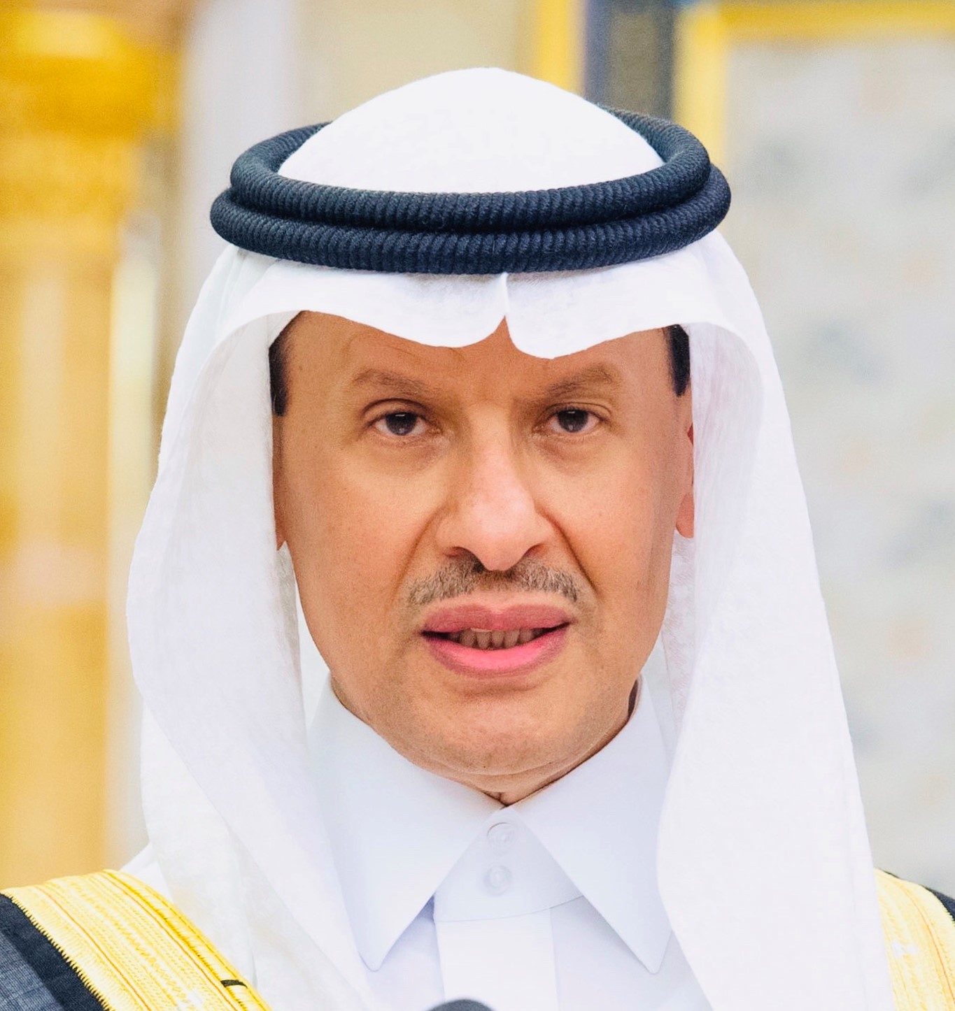 صاحب السمو الملكي الأمير عبدالعزيز بن سلمان بن عبدالعزيز